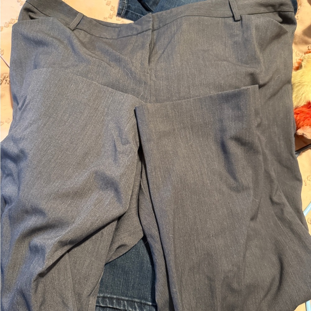 Lane Bryant Gray Straight Leg Pants